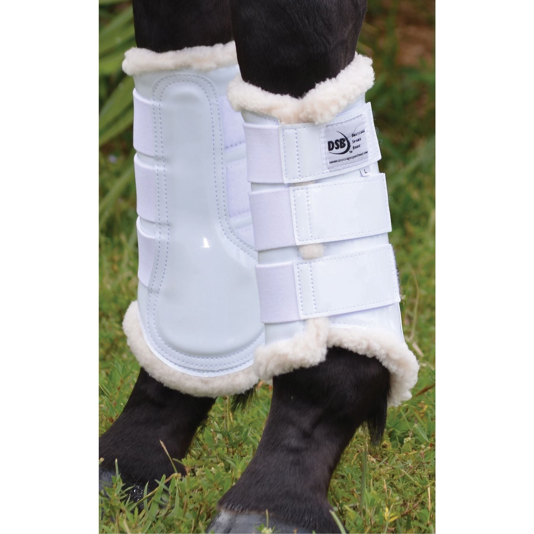 DSB Dressage Sport Boot