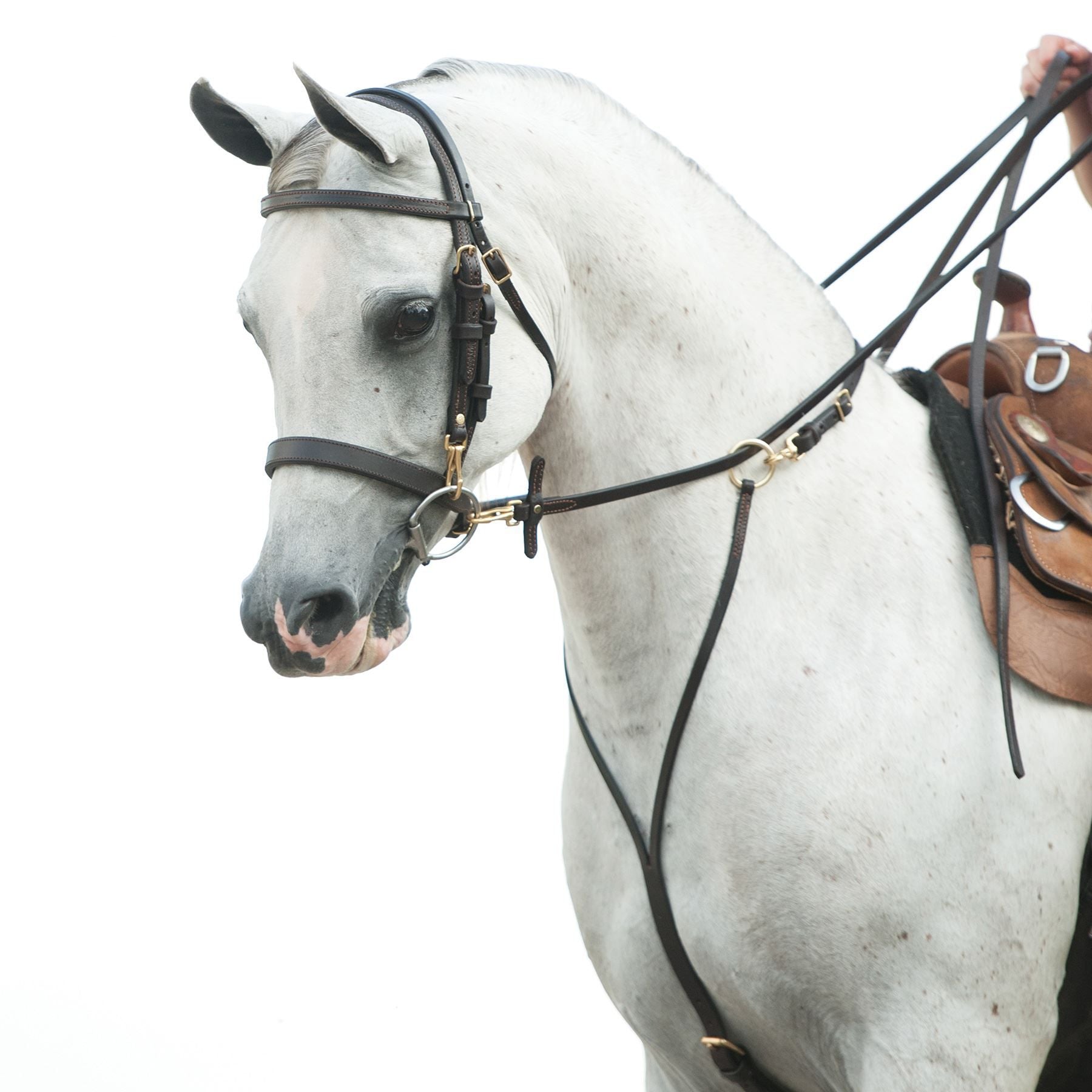 Victor Supreme Gene LaCroix Arabian Training Headstall