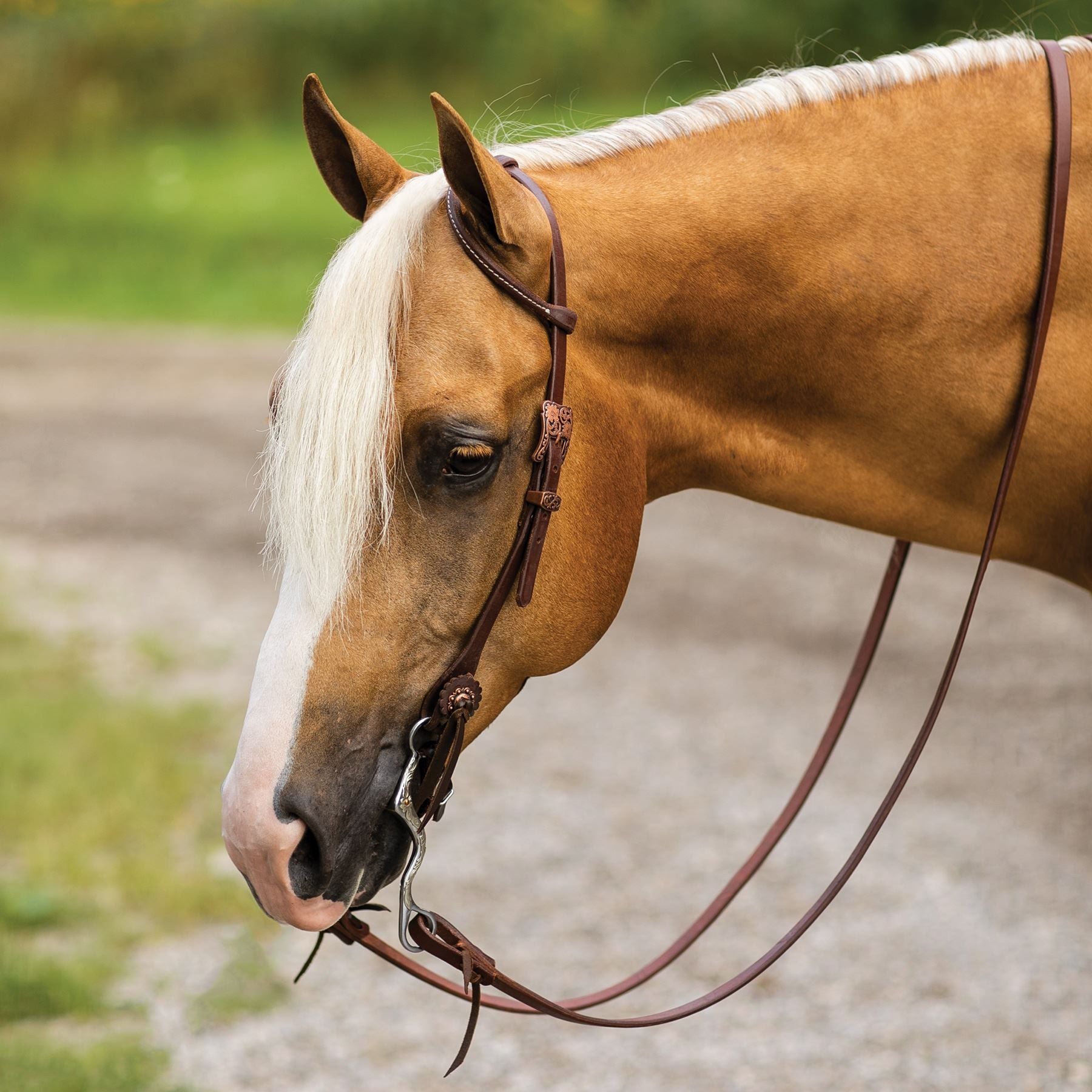 Billy Royal® Oiled Hermann Oak Performance One Ear Quick Change Headstall