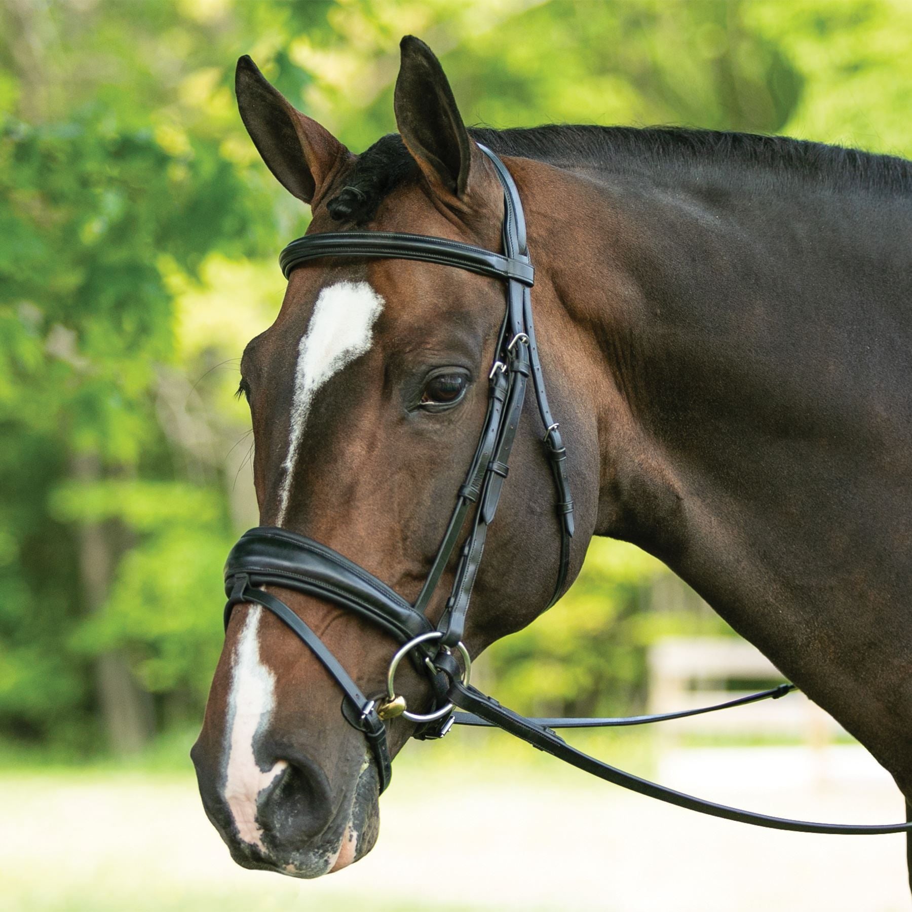 Joseph Sterling® Comfort Plus® Dressage Bridle