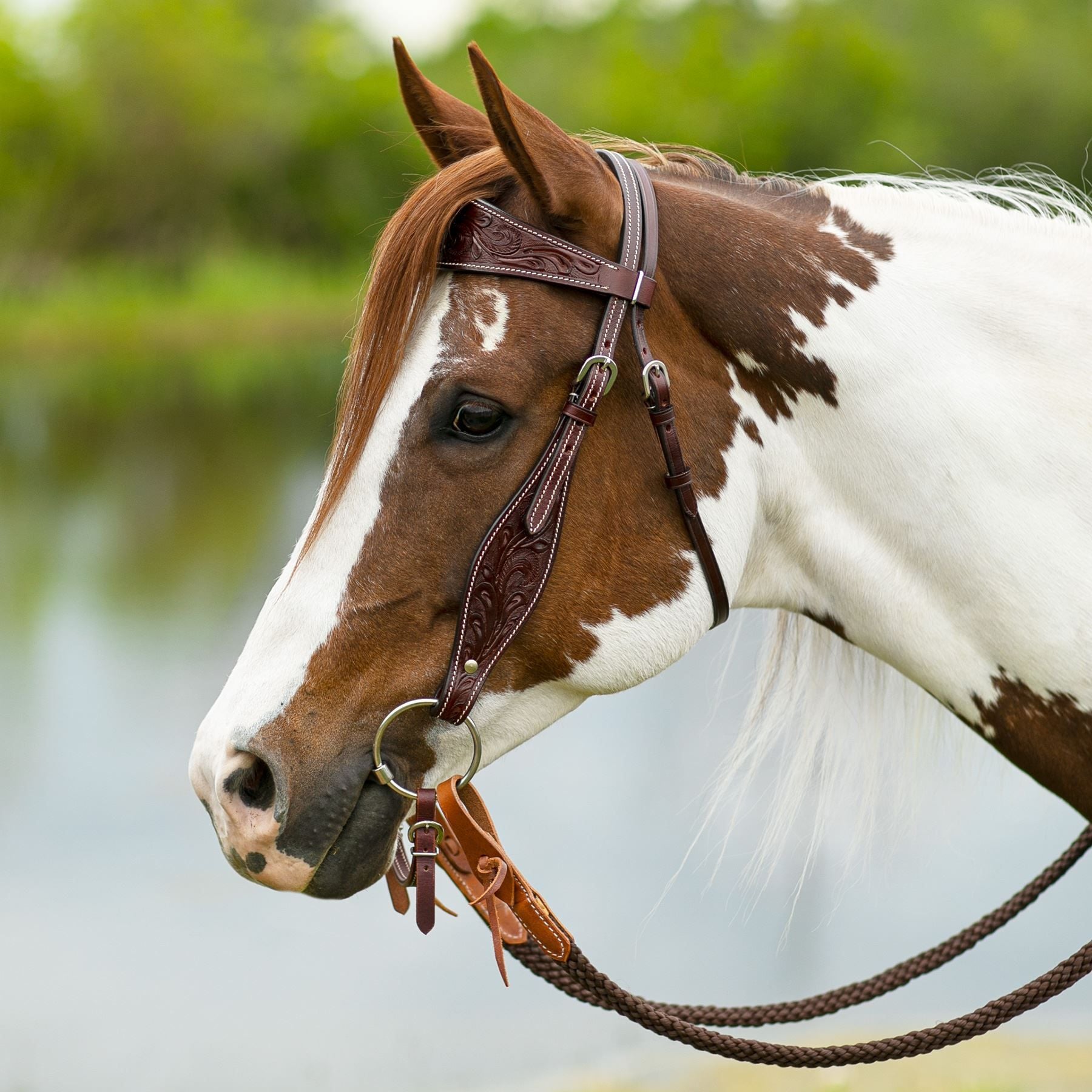 Schneiders® Apache Browband Ranch Headstall