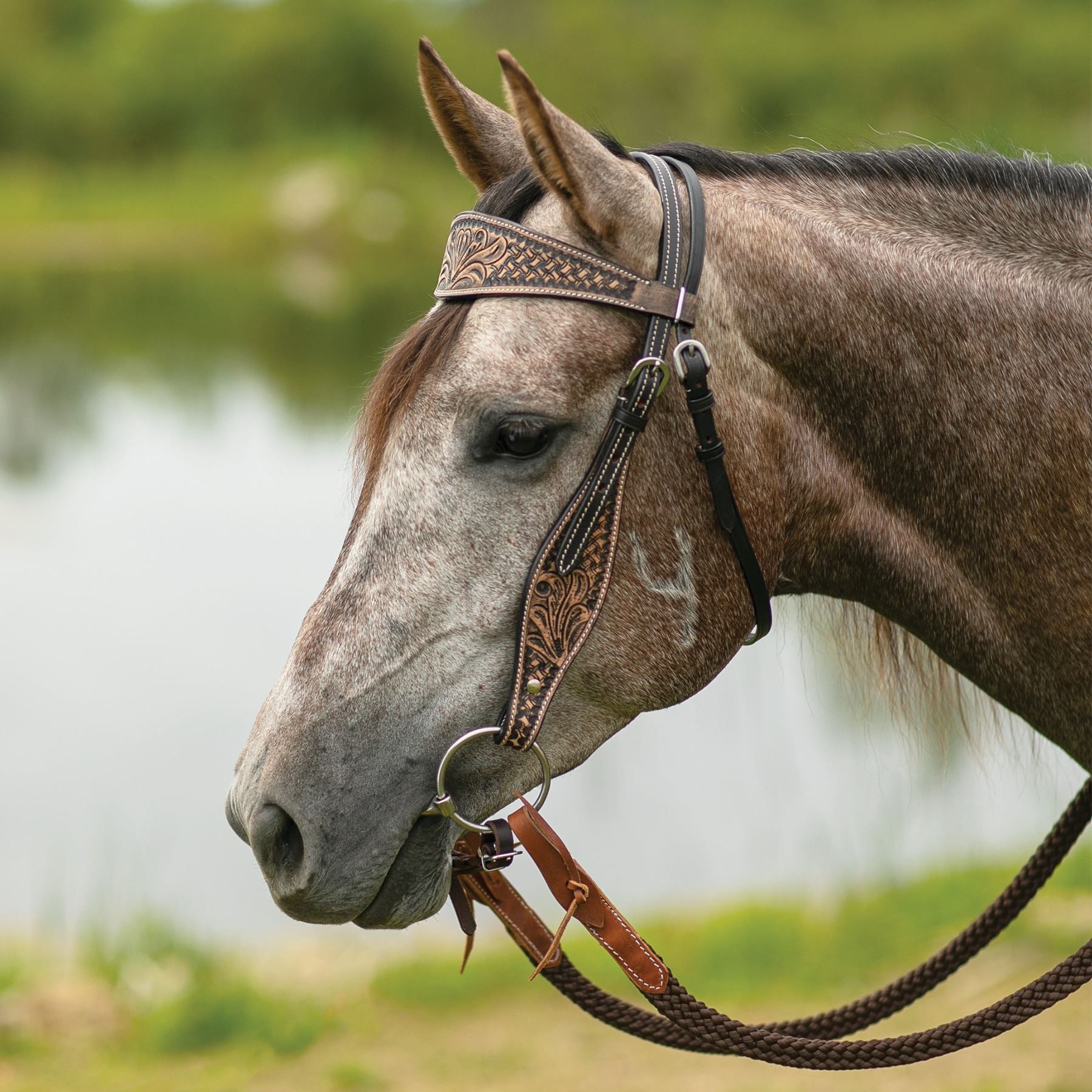 Schneiders® Reno Browband Ranch Headstall