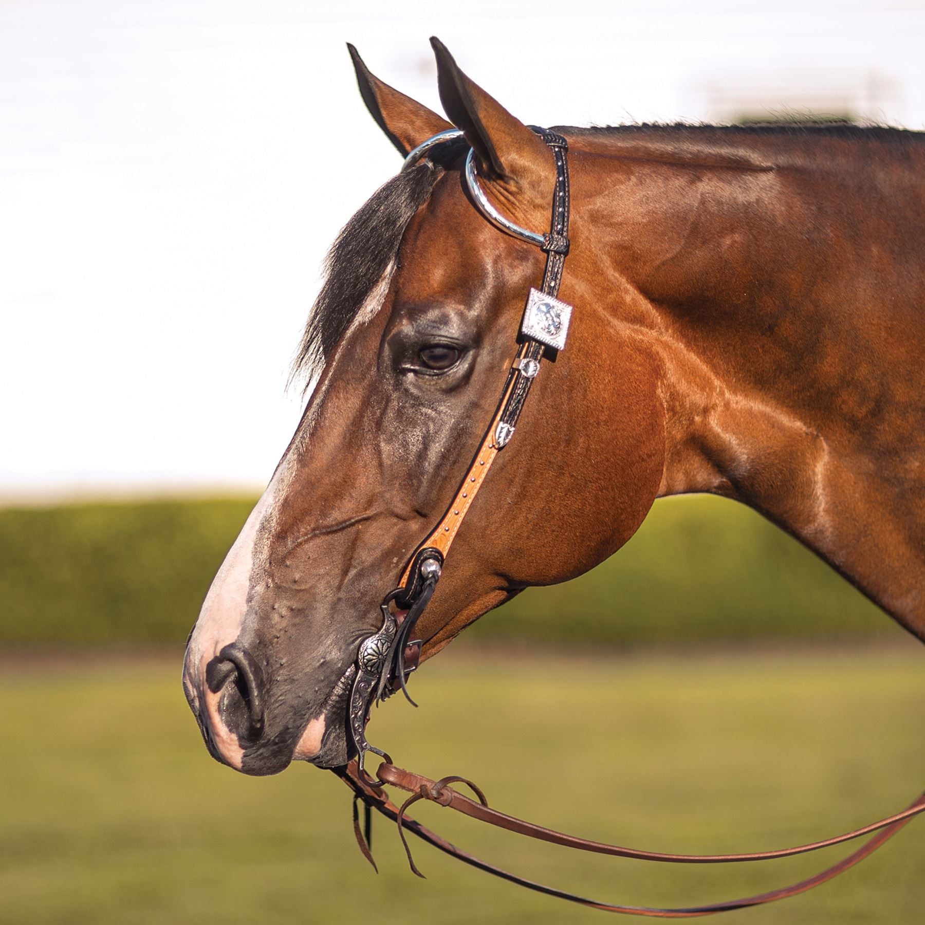 Billy Royal® Gwendolyn Two Ear Headstall