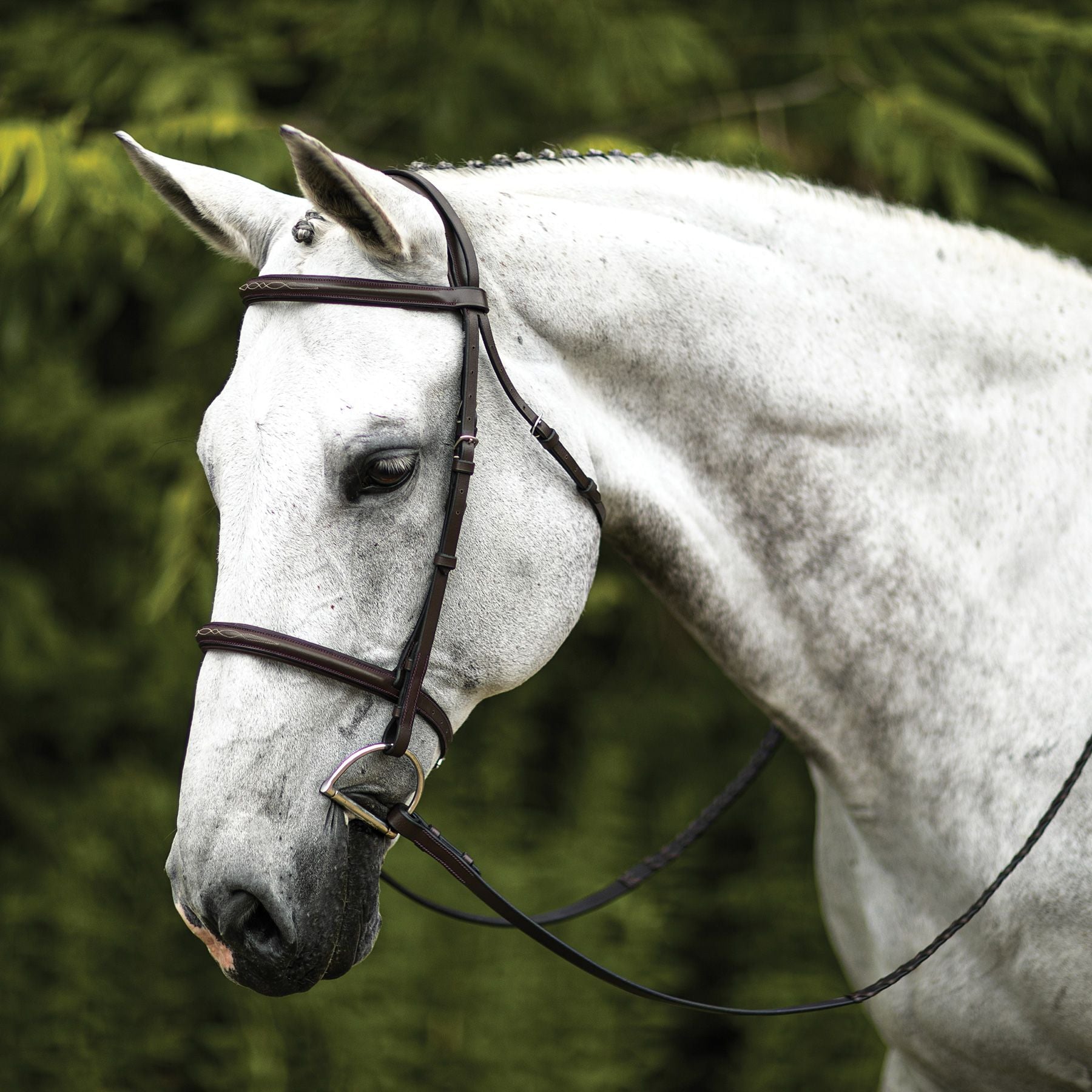 Premier Comfort Plus Padded Fancy Stitch Hunter Bridle