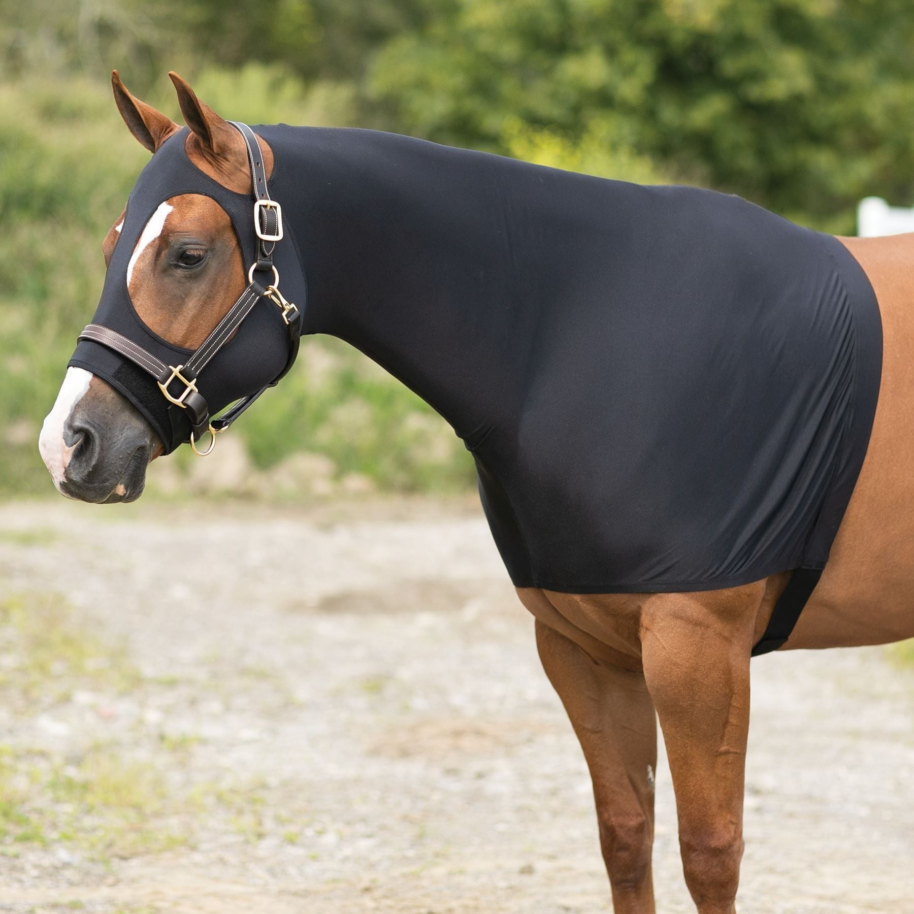 Dura-Tech® Pull-On Slicker Hood