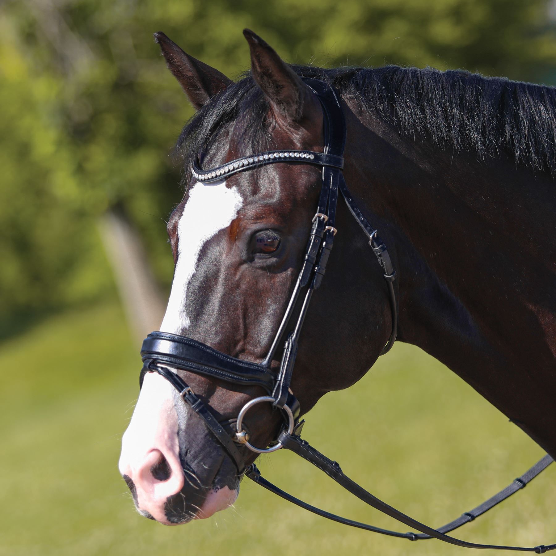 Joseph Sterling® Anatomic Snaffle Monocrown Dressage Bridle with Flash