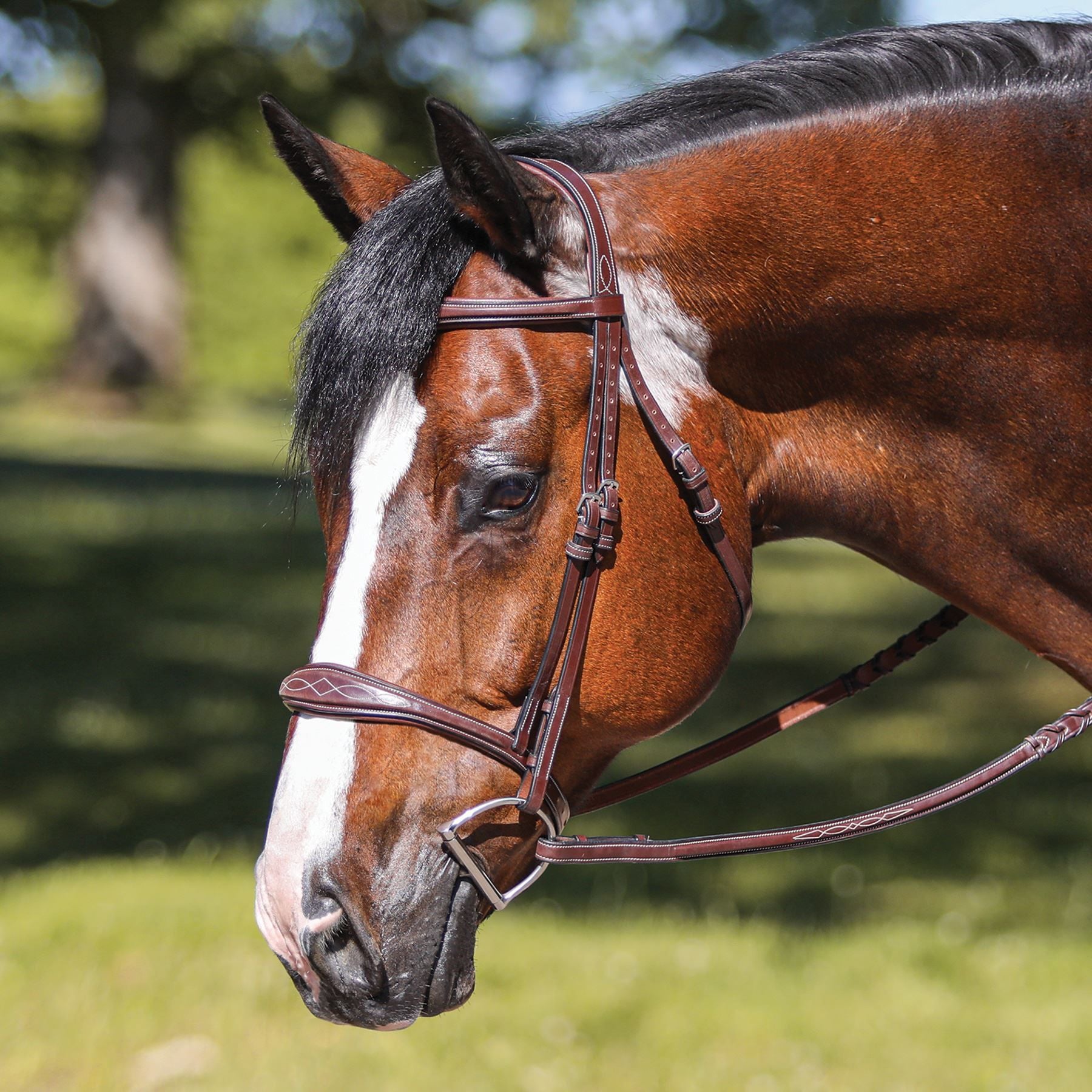Joseph Sterling® Shaped Padded Monocrown English Bridle