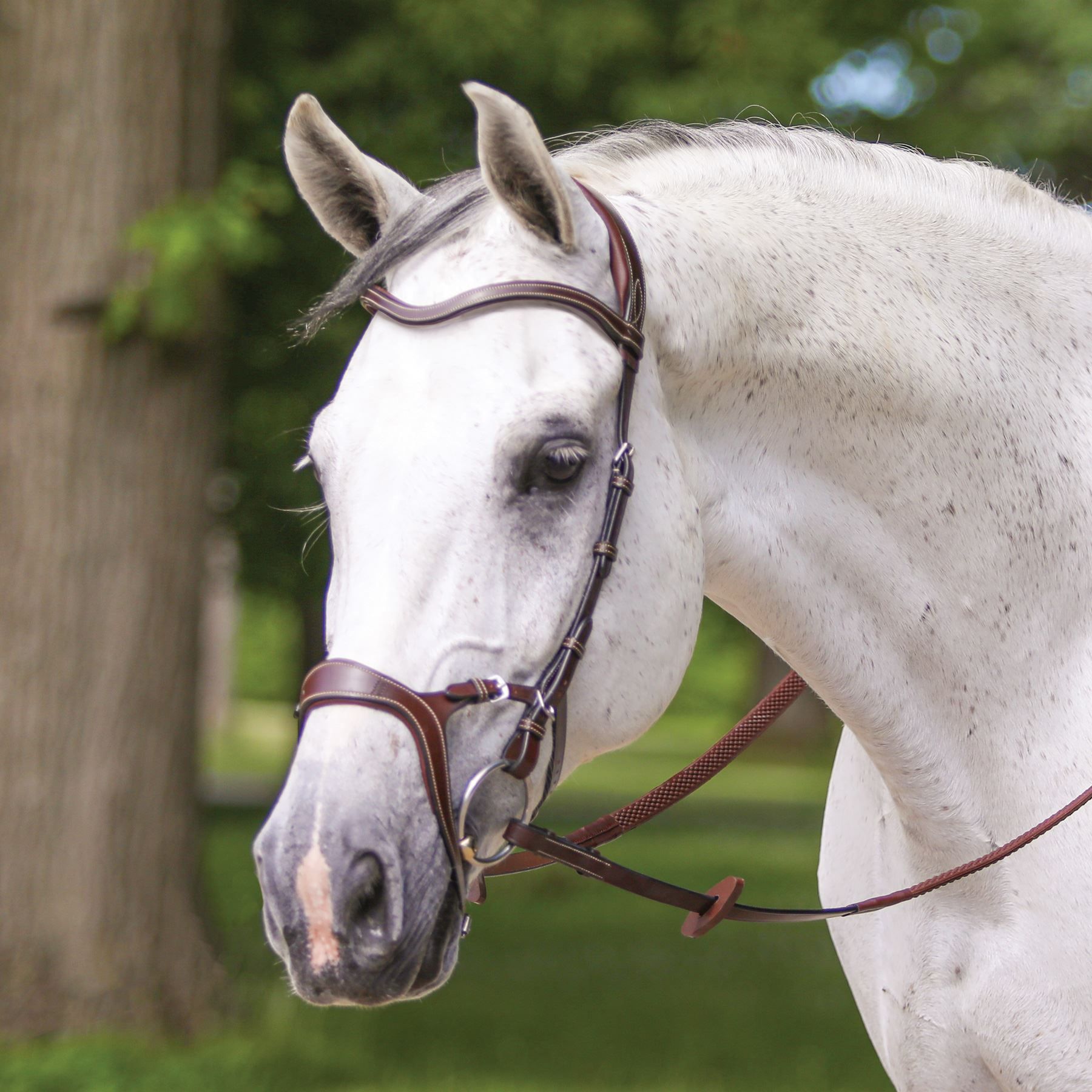 Joseph Sterling® Anatomic Poll Relief Monocrown English Bridle