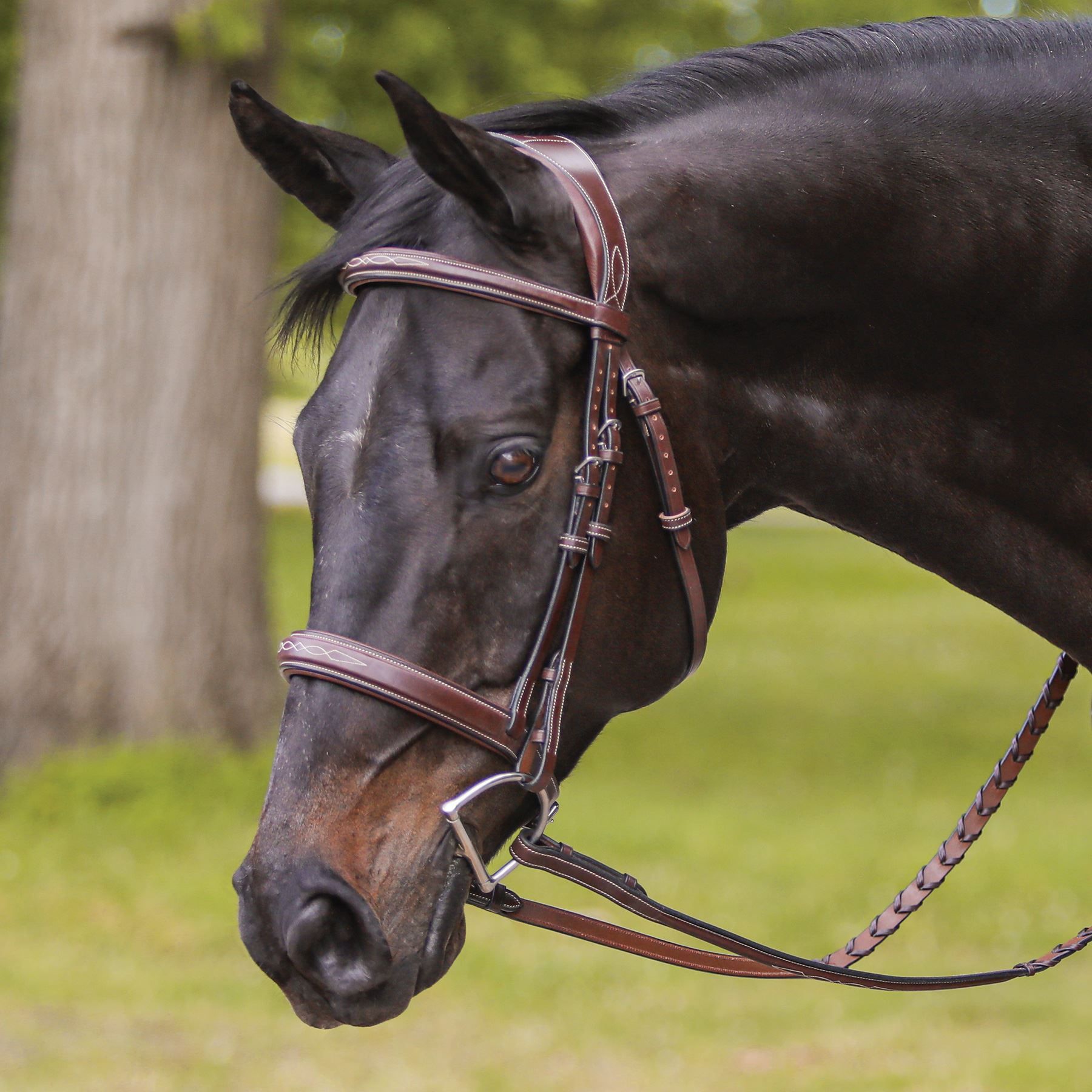 Joseph Sterling® Padded Poll Relief Monocrown English Bridle