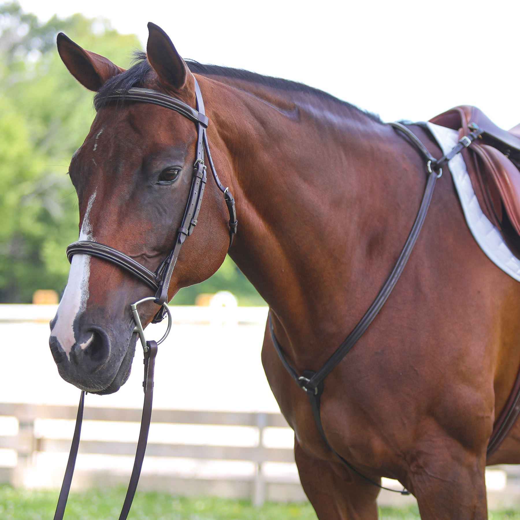 Premier Raised Fancy Stitched Breastplate