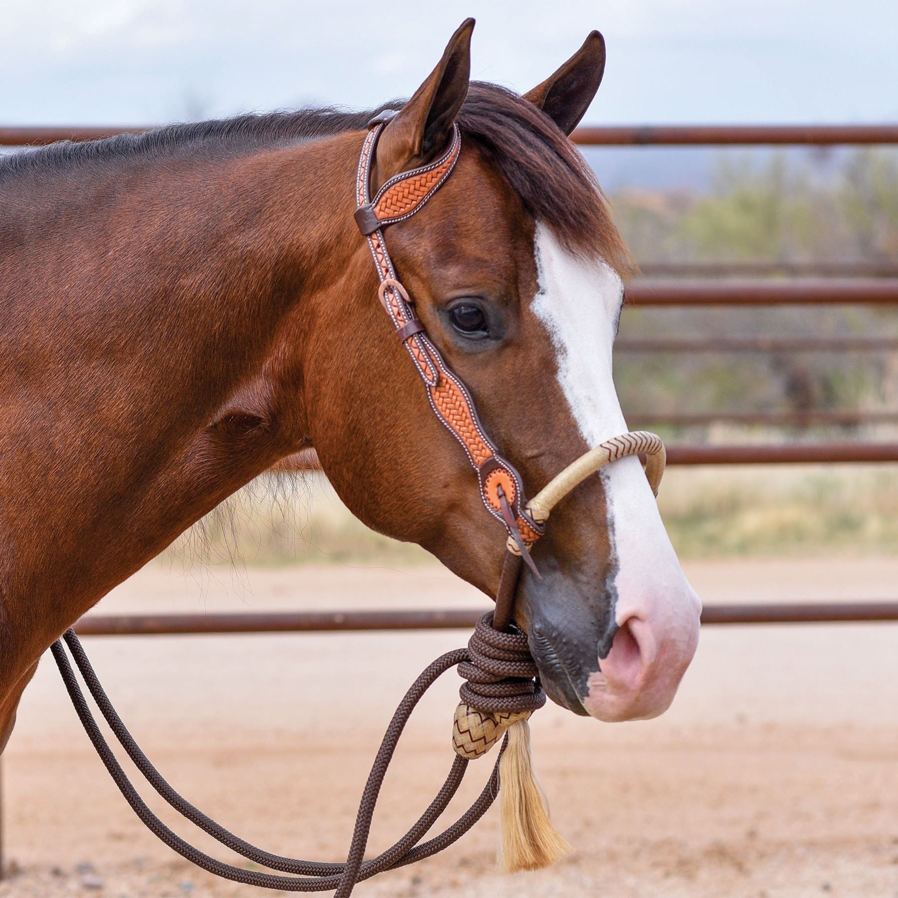Schneiders® Basketweave Tooled One Ear Bosal Set