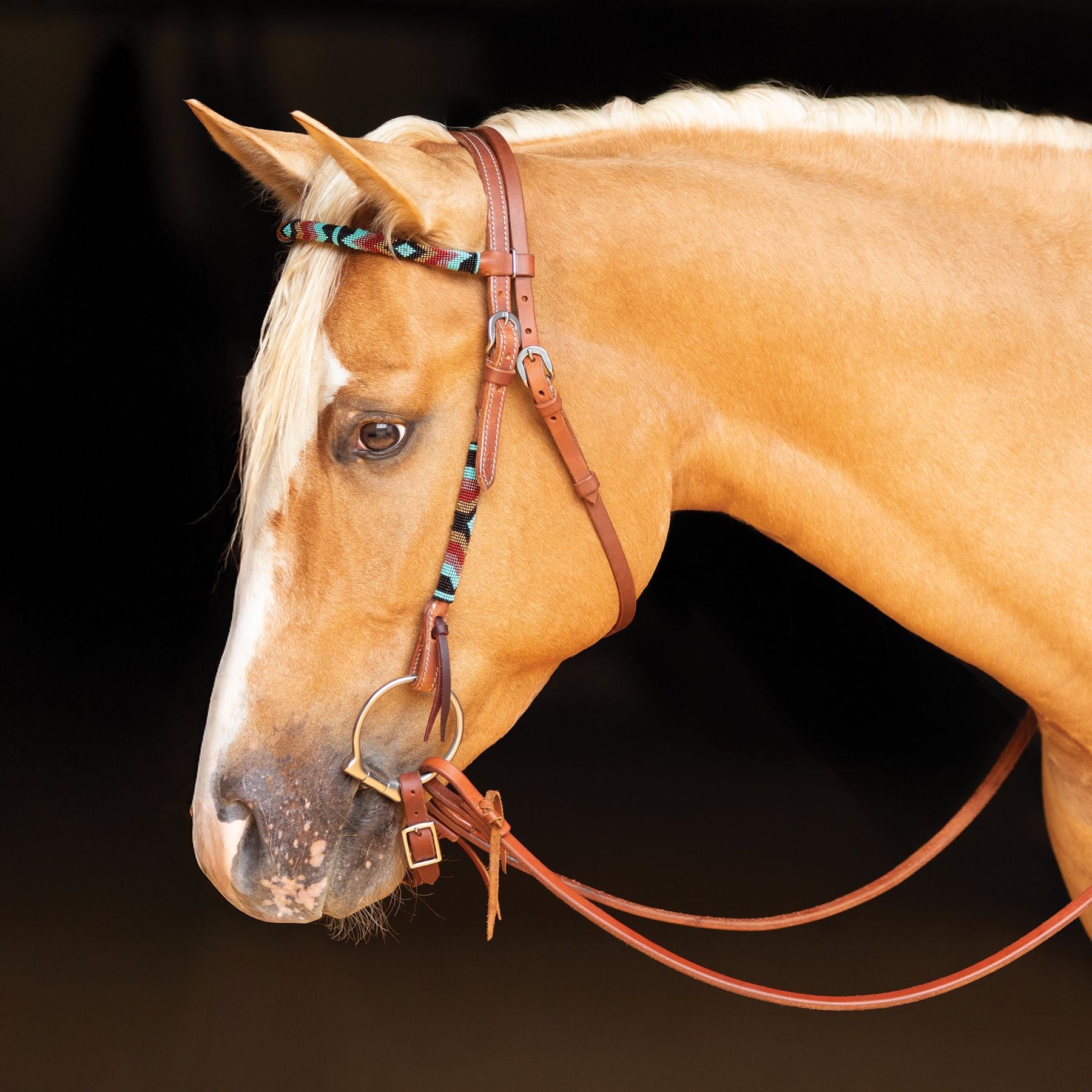 Schneiders® Beaded Browband Headstall