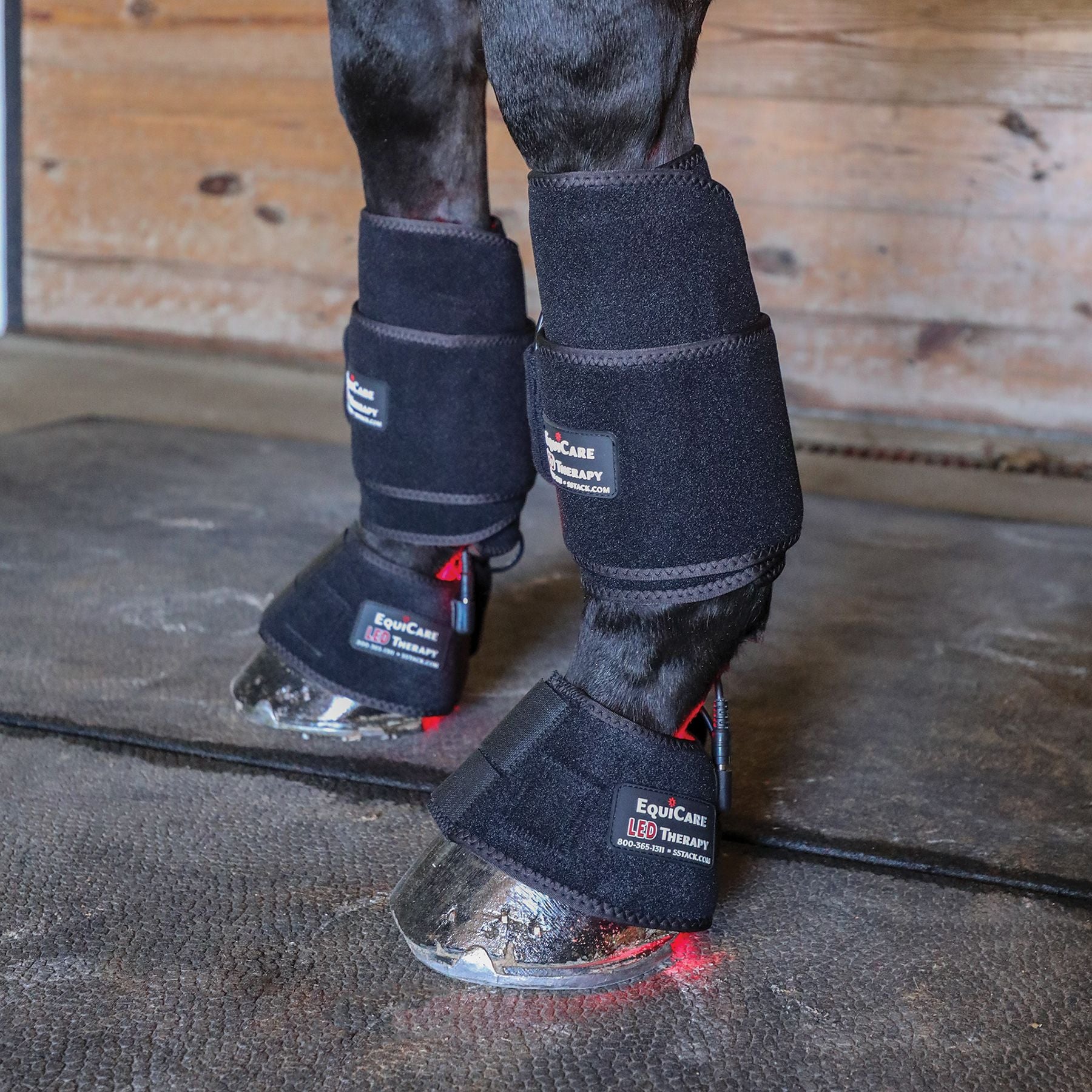 Schneiders® EquiCare LED Therapy® Red Light Equine Kit