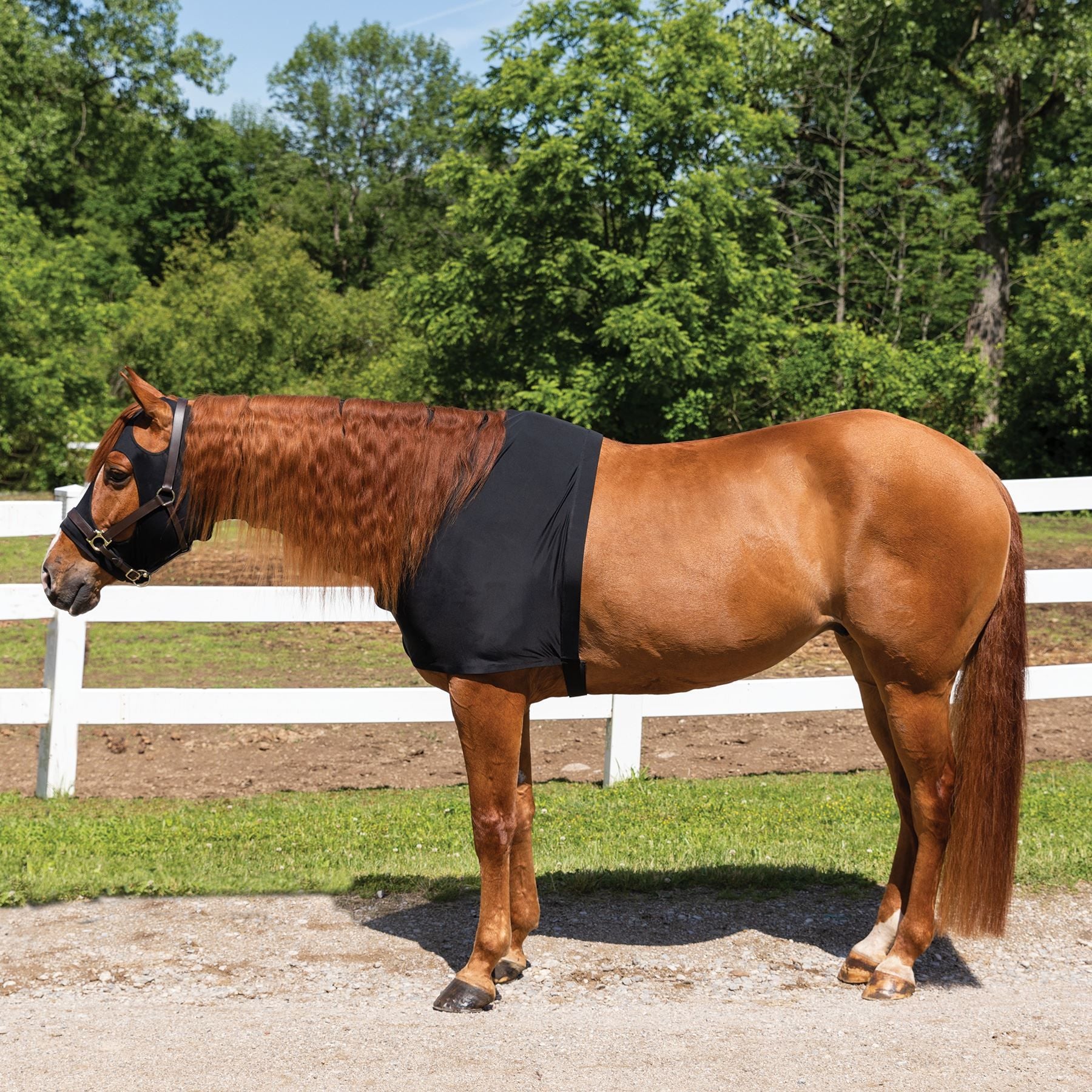 UltraFlex® Forelock And Mane Saver Full Zipper Horse Slicker Hood