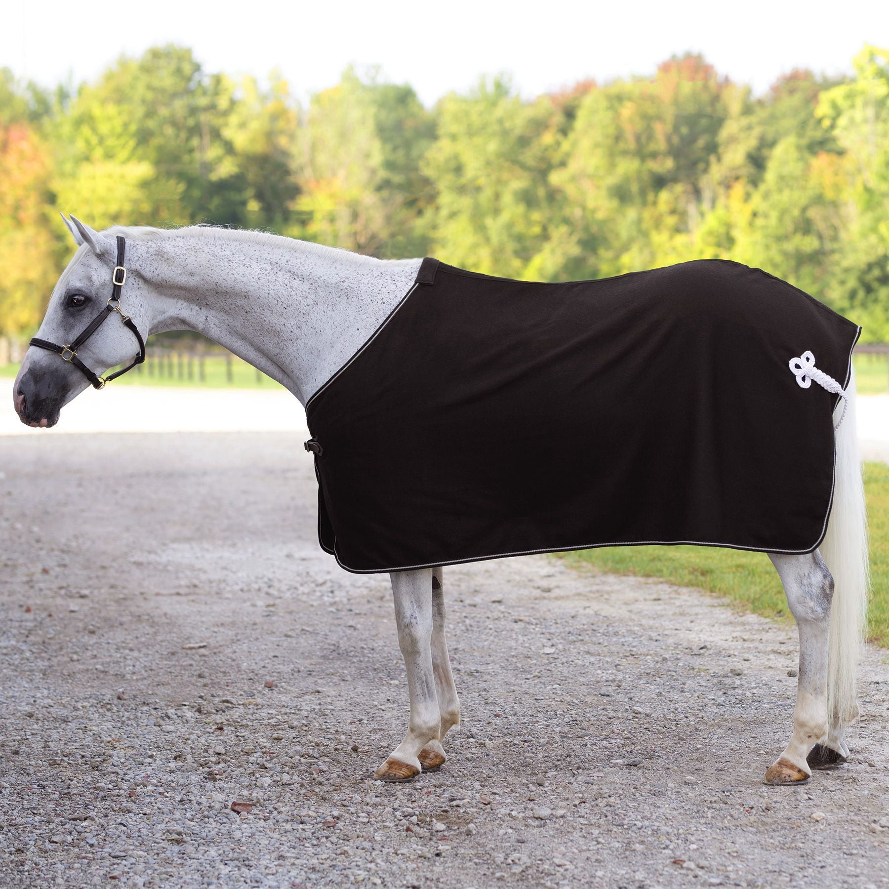 Schneiders® Classic Wool Dress Sheet