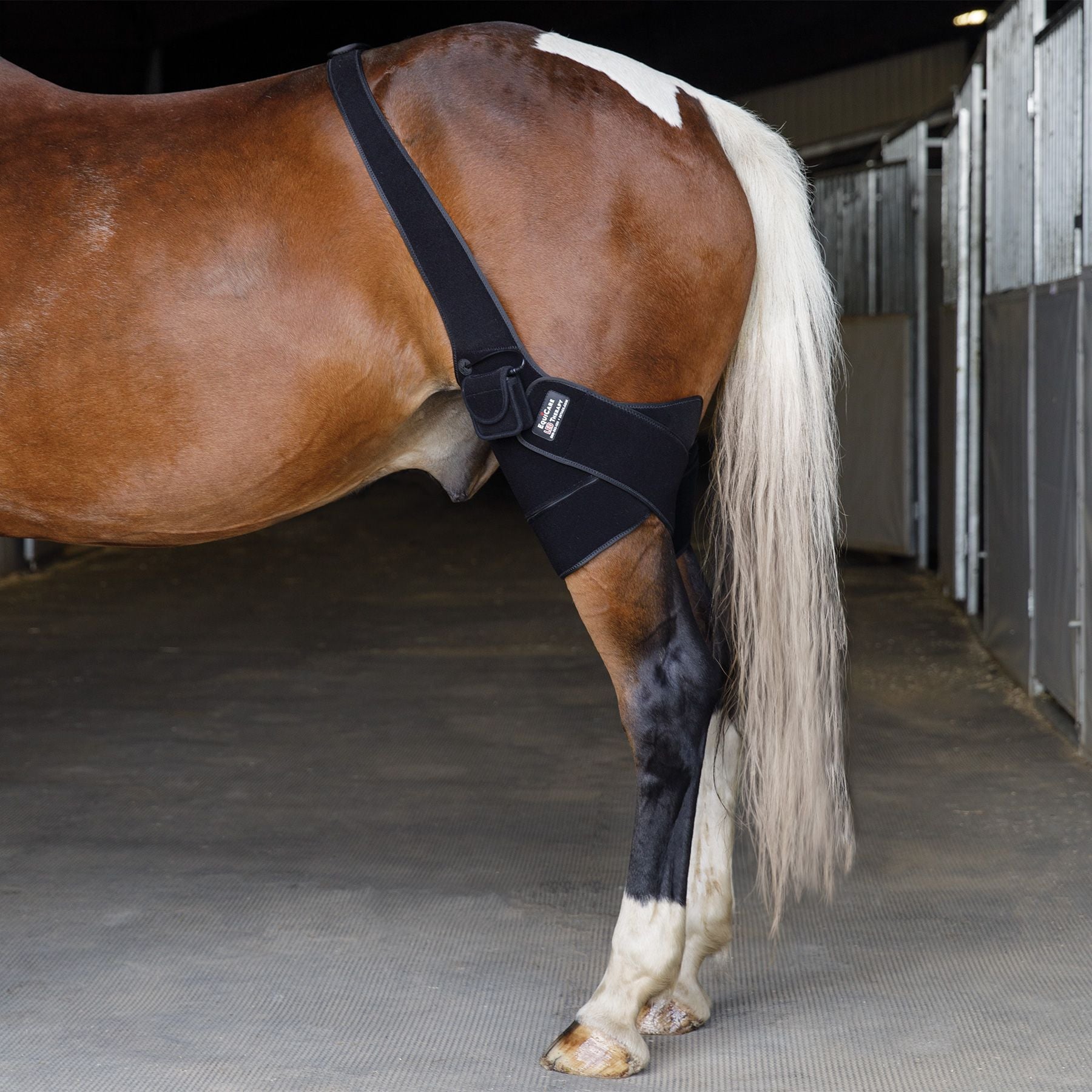 Schneiders® EquiCare LED Therapy® Red Light Stifle Wrap