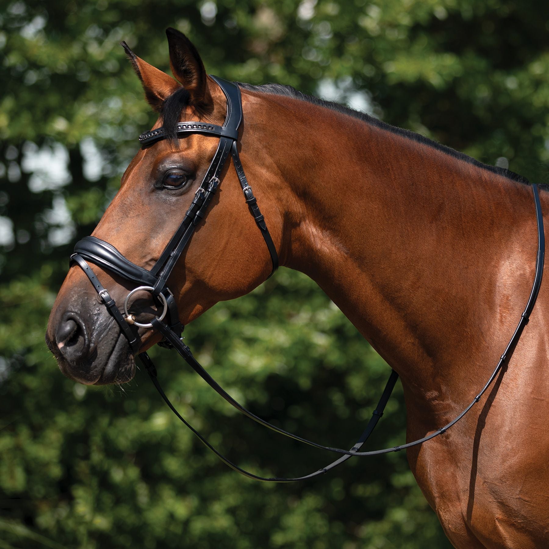 Schneiders® Ergonomic Monocrown Dressage Bridle with Crank Noseband
