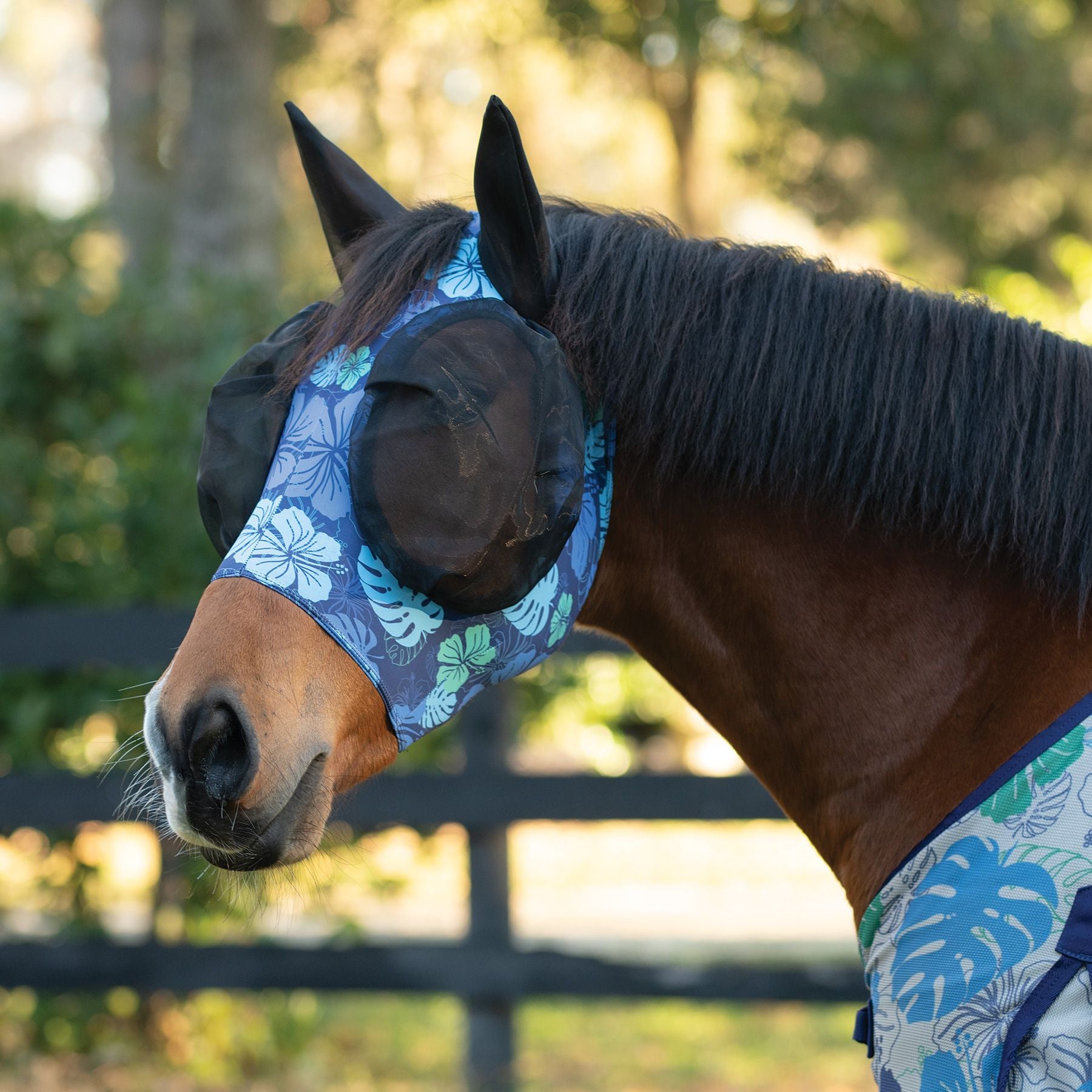 Schneiders® UltraFlex® Comfort Plus Bug Eye Limited Edition Hawaiian Pull-On Fly Mask