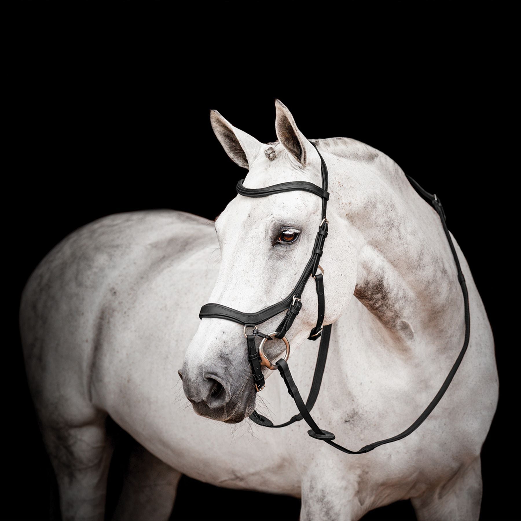 Horseware Micklem® 2 Competition Bridle