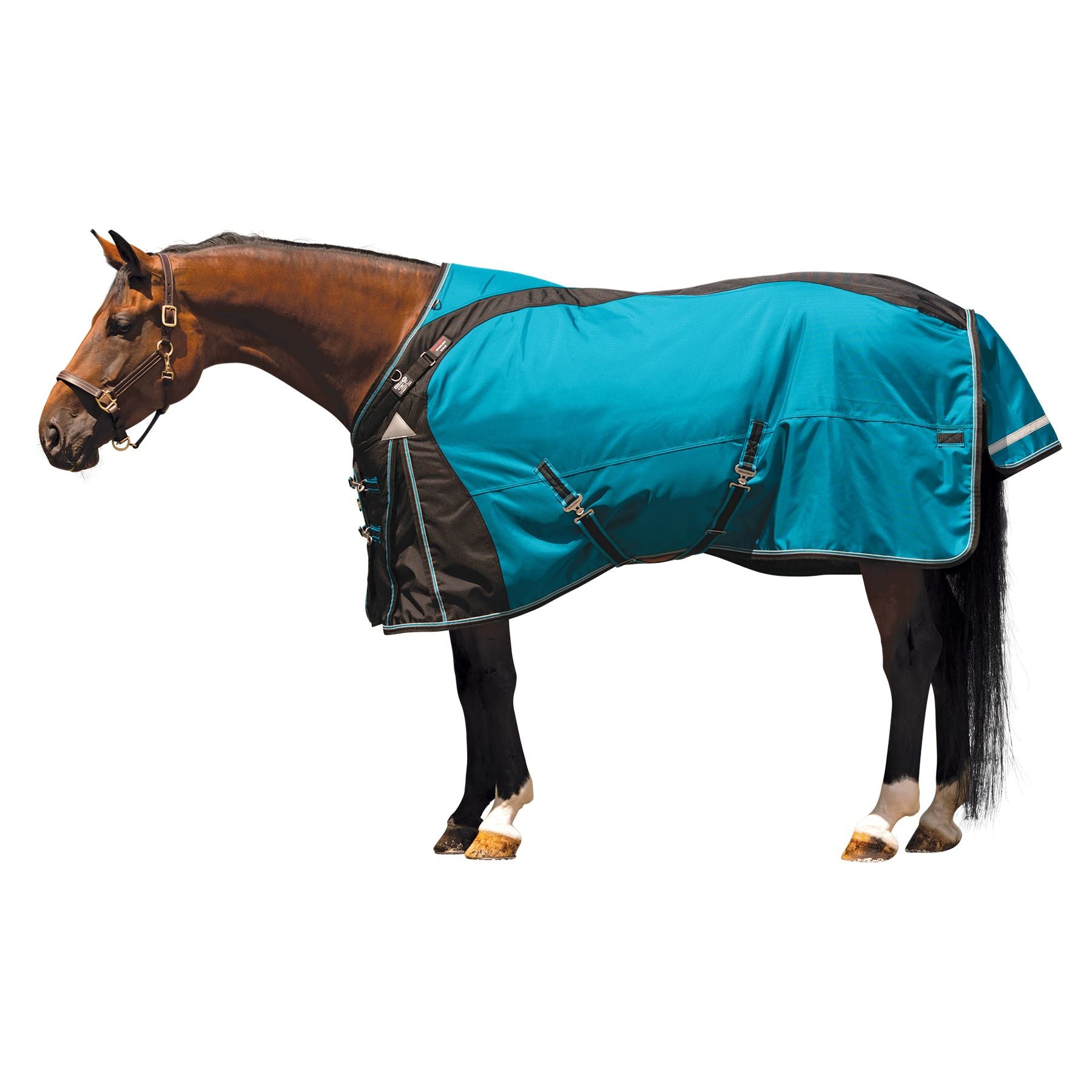 variant_image_merge_46168_teal