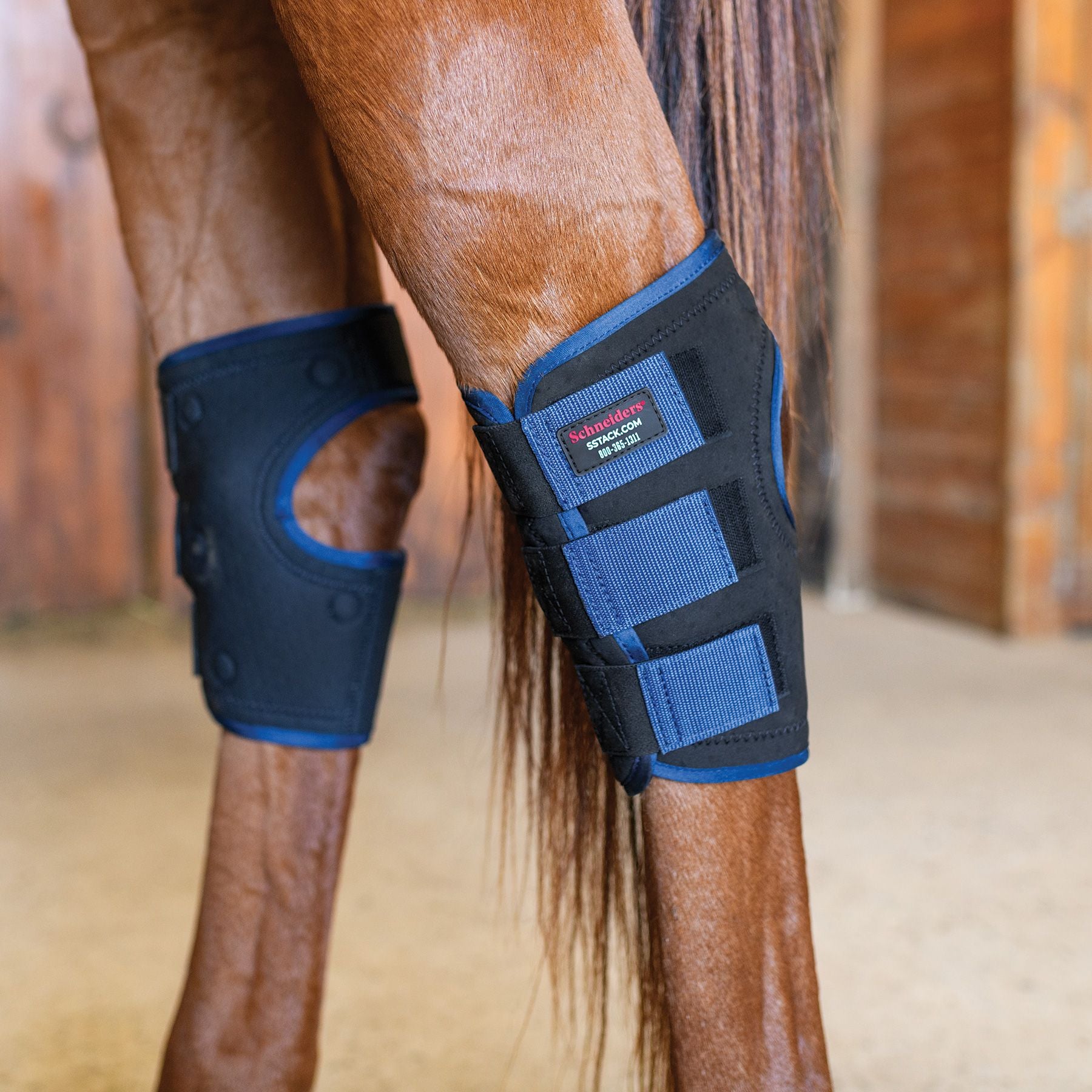Schneiders® Magnetic Therapy Hock Wraps