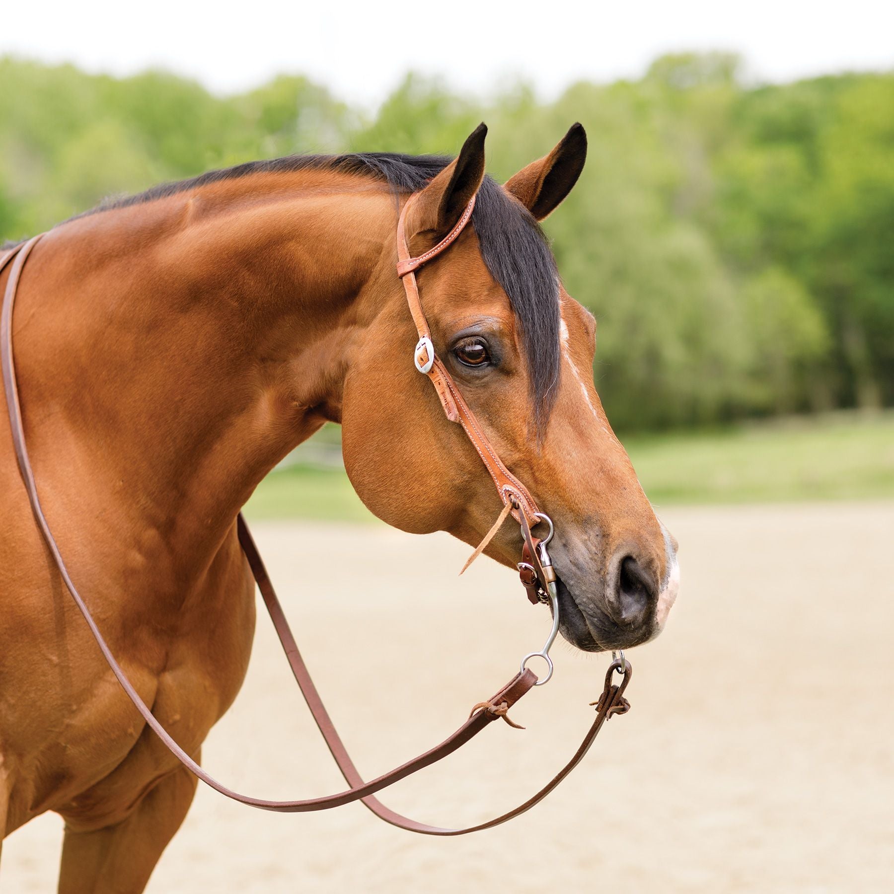 Billy Royal® Rolled One Ear Finished Hermann Oak Headstall