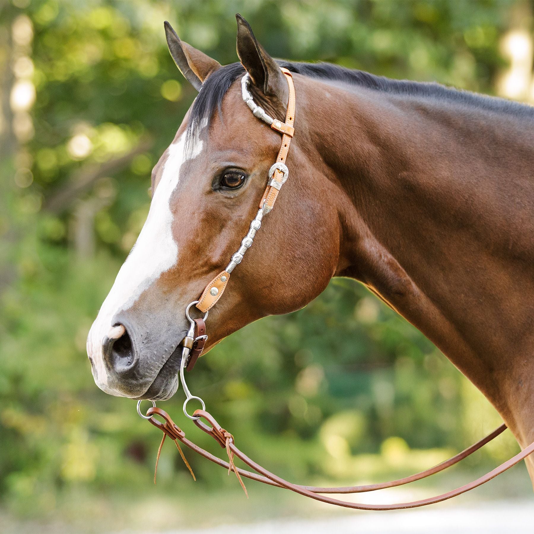 Schneiders® Two Ear Silver Plated Concho Western Show Headstall