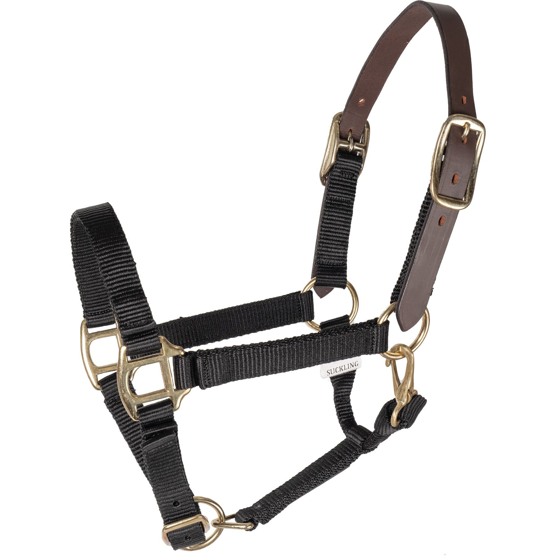 Schneiders® Nylon Breakaway Foal Halter