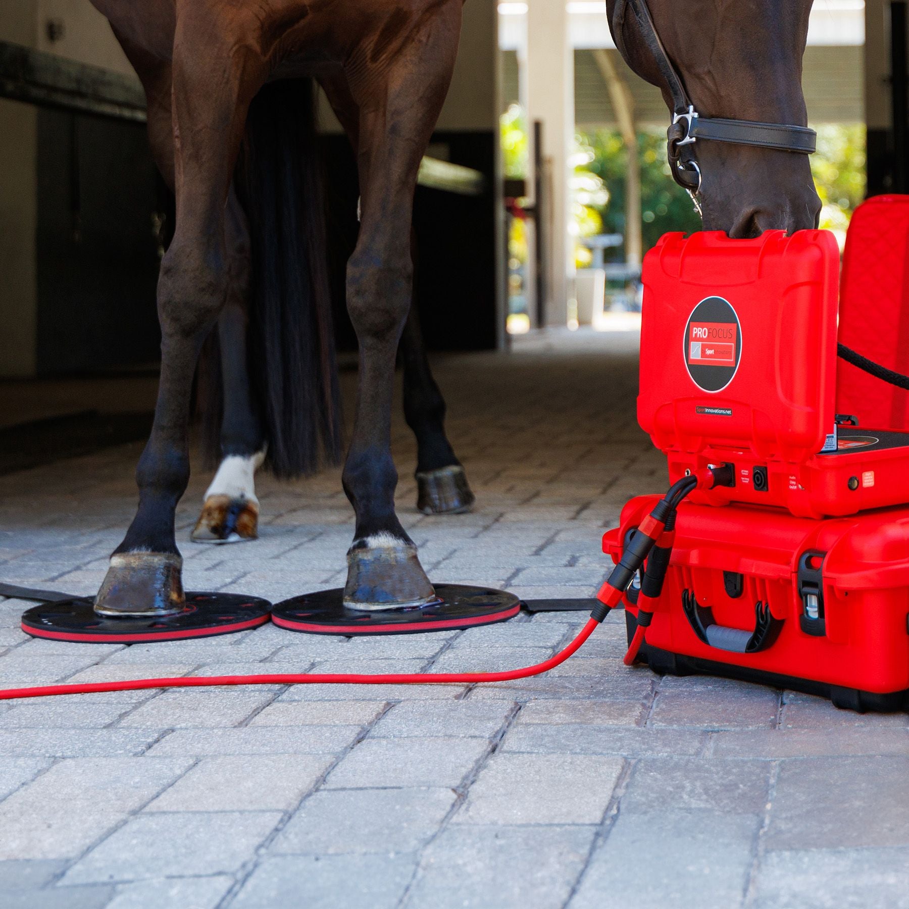 Sport Innovations ProFocus PEMF Hoof Plates