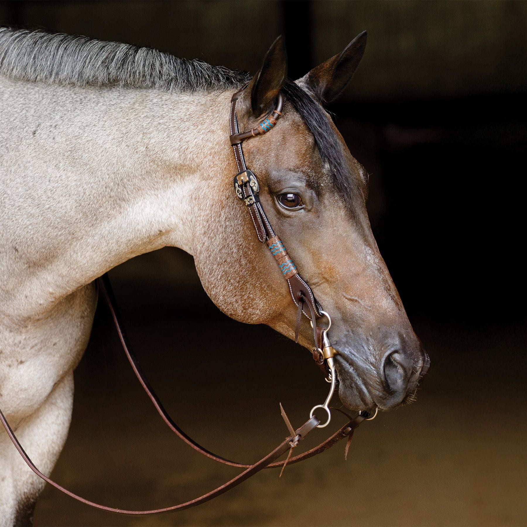 Schneiders® Turquoise Rawhide Rolled One Ear Headstall