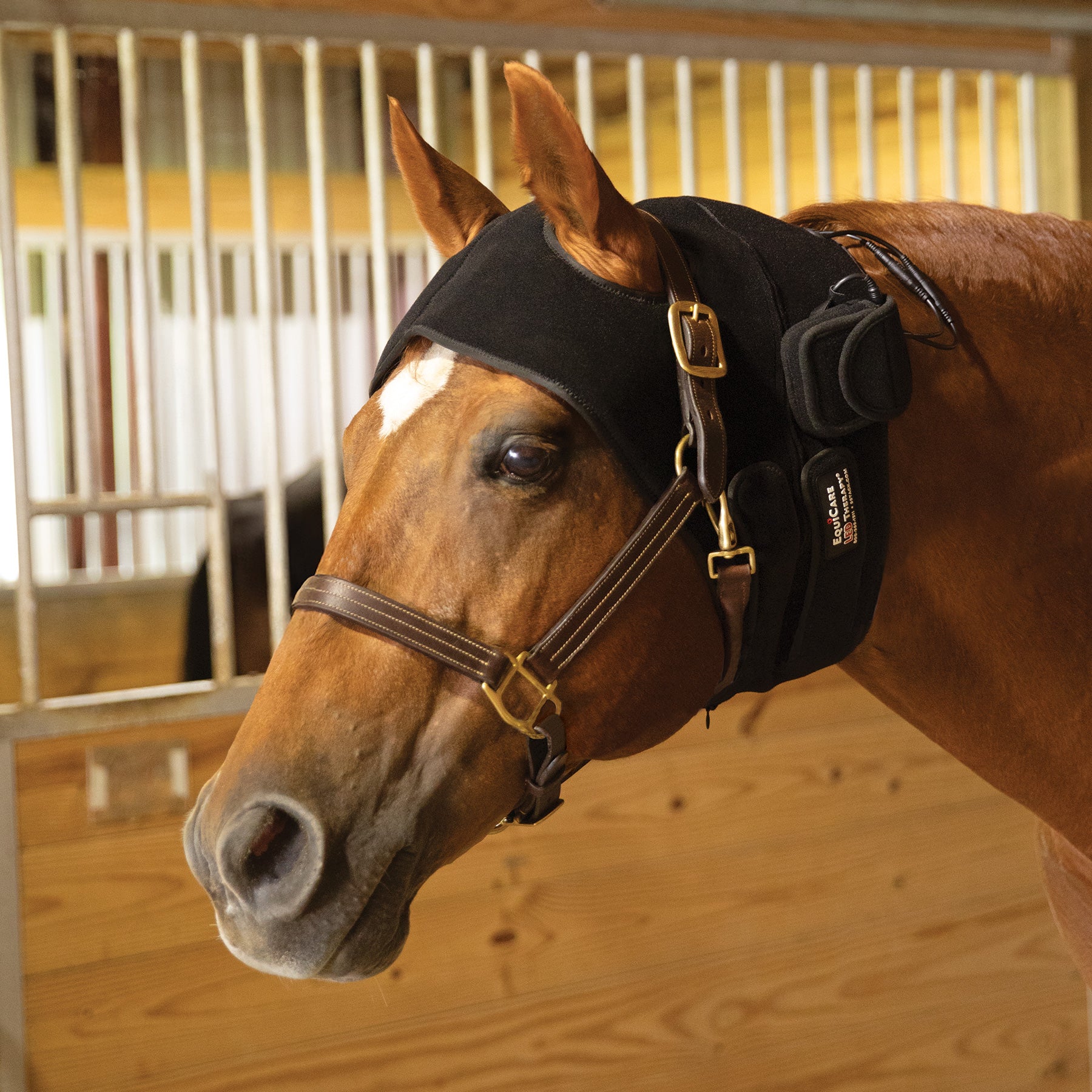 Schneiders® EquiCare LED Therapy® Red Light TMJ and Calming Bonnet