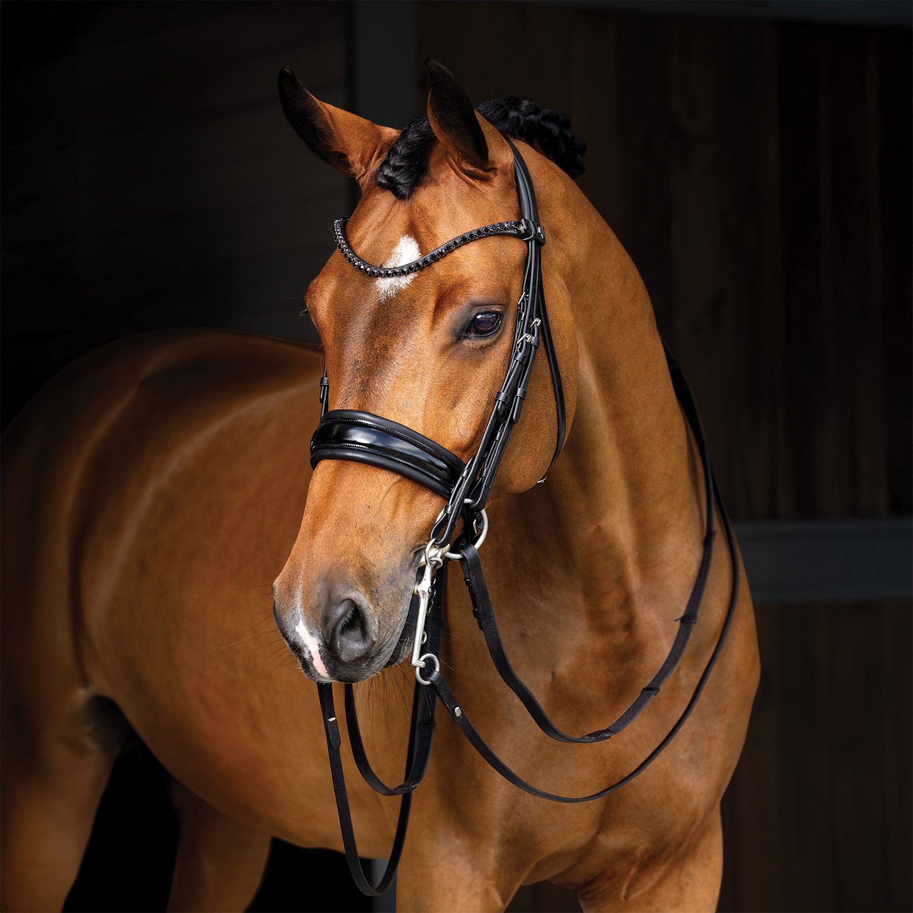 LeMieux® Kudos Dressage Double Bridle