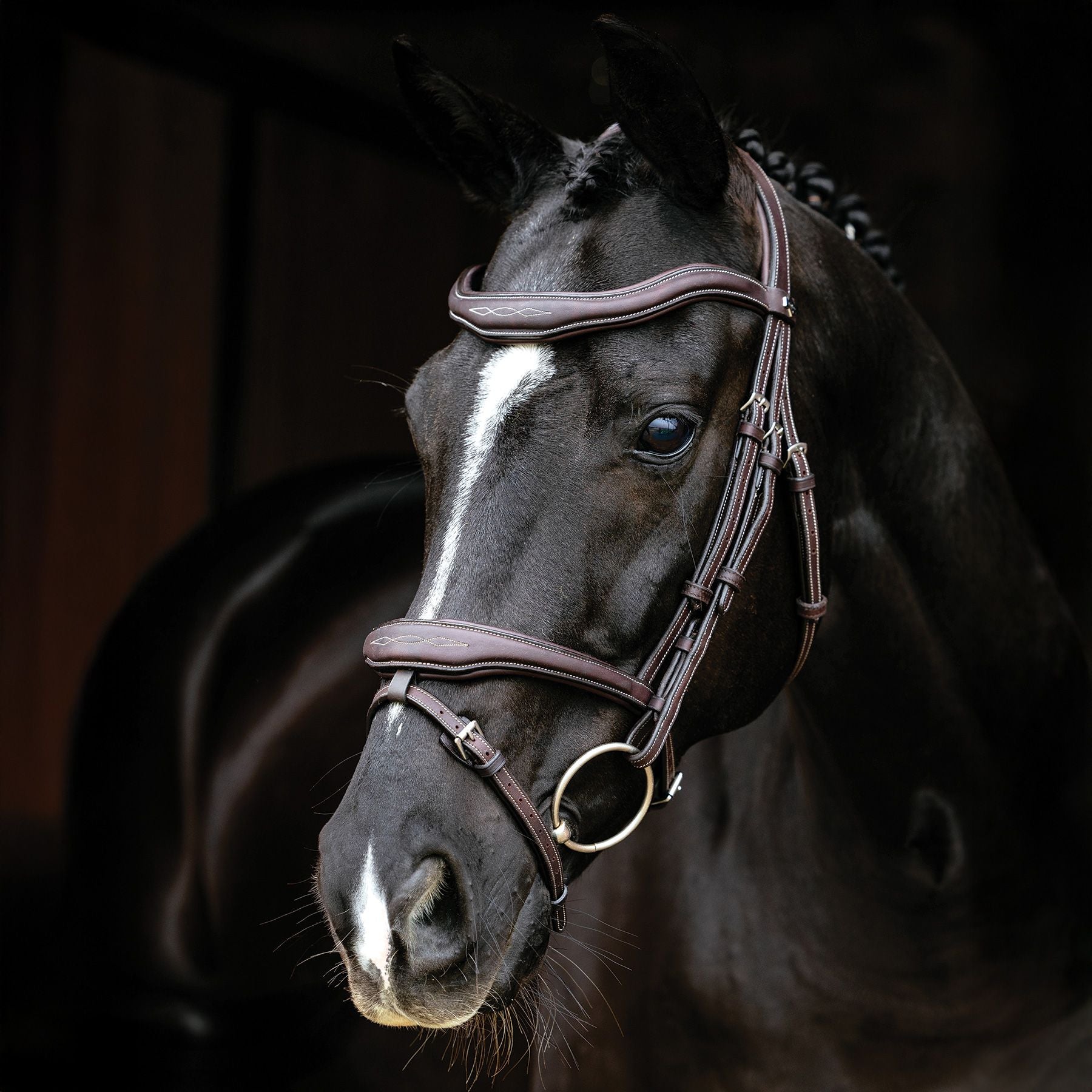 LeMieux® Kudos Contour Flash Bridle