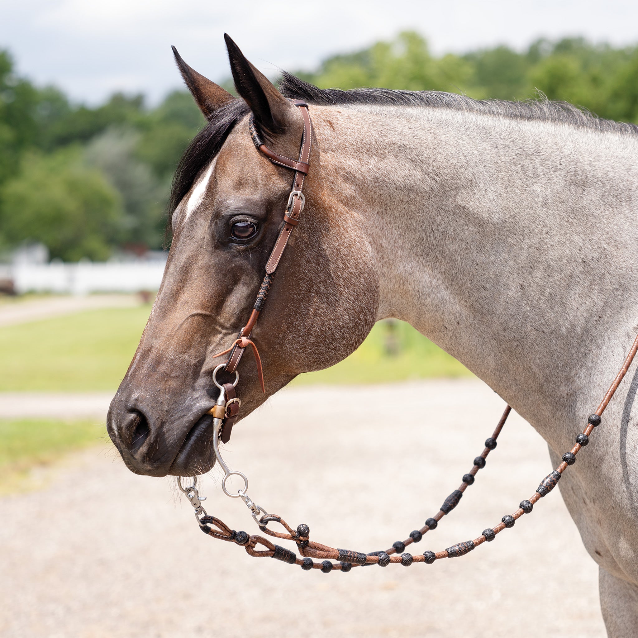 Schneiders® Black and Chocolate Rawhide Two-Ear Ranch Headstall