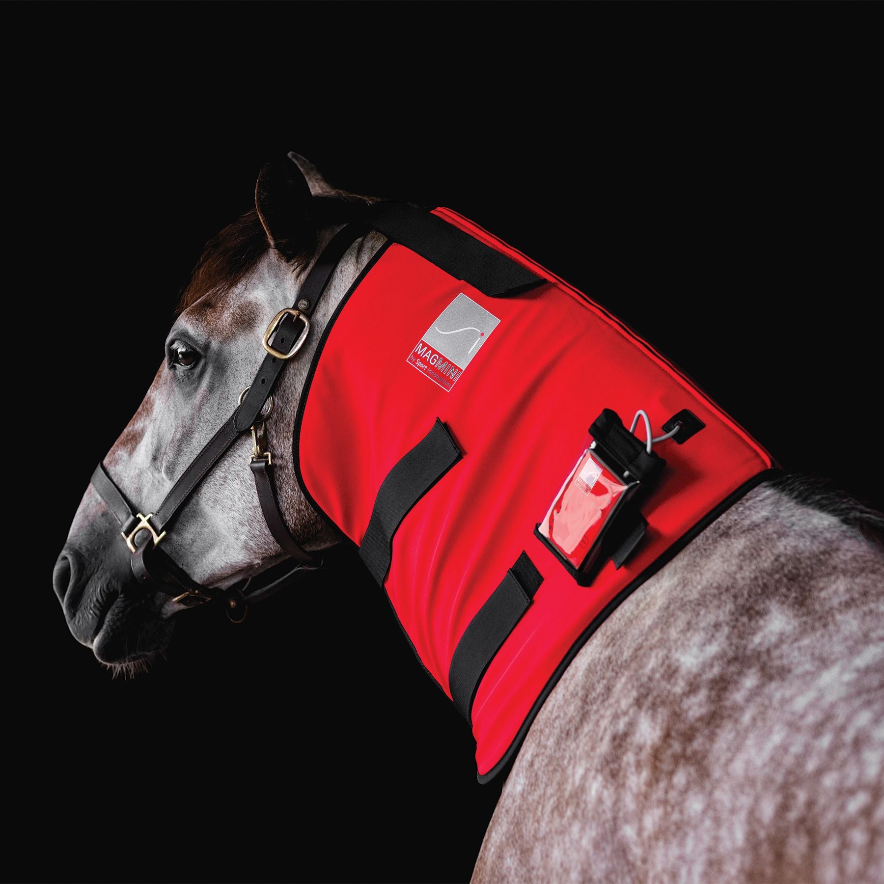 Sport Innovations MagMini PEMF Magnetic Neck Wrap