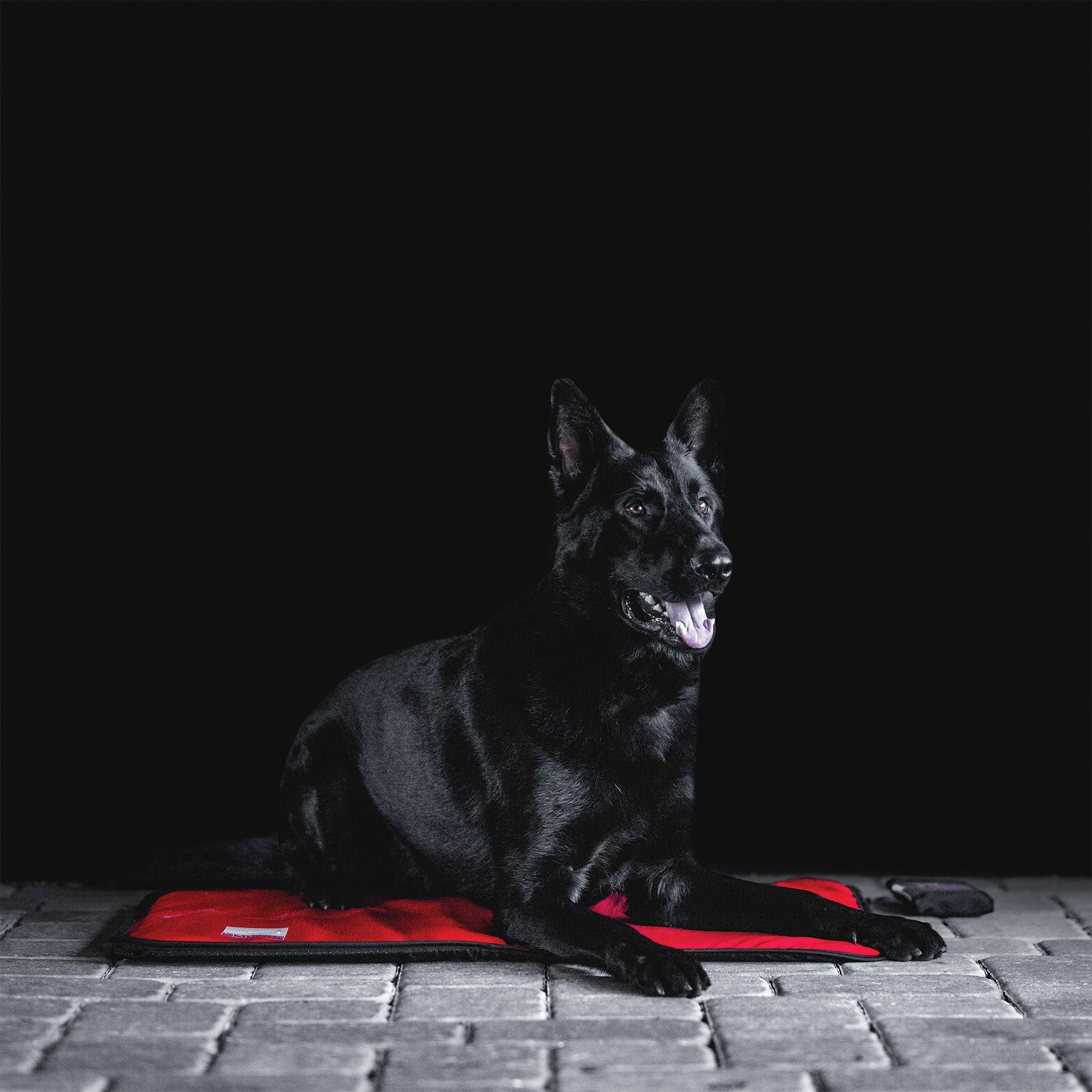 Sport Innovations MagMini Magnetic PEMF Dog Mat